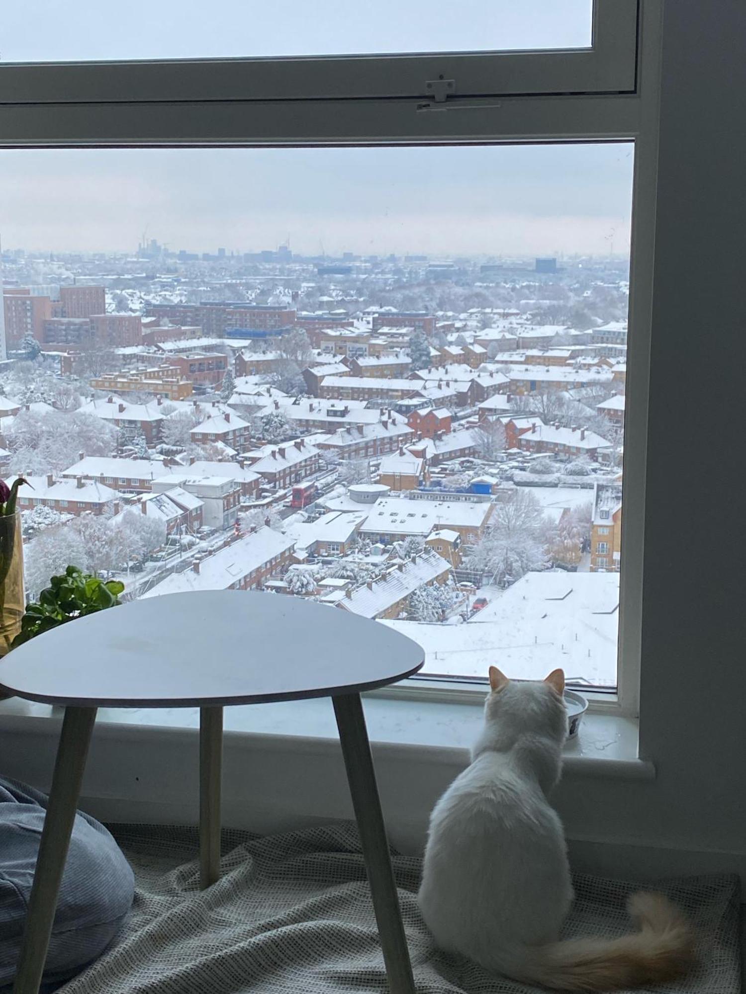 Apartmán Cozy Flat With Stunning Views Londýn Exteriér fotografie
